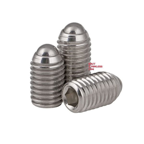 BALL PLUNGER SS304 - Image 3
